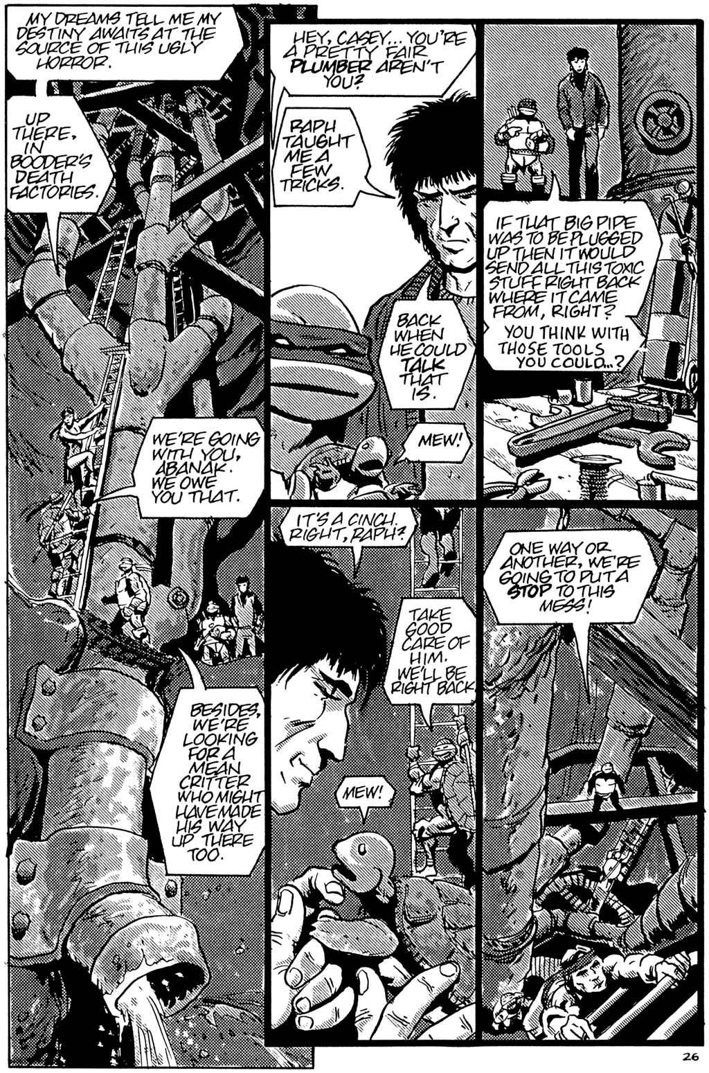 Read online Teenage Mutant Ninja Turtles (1984) comic -  Issue #25 - 28