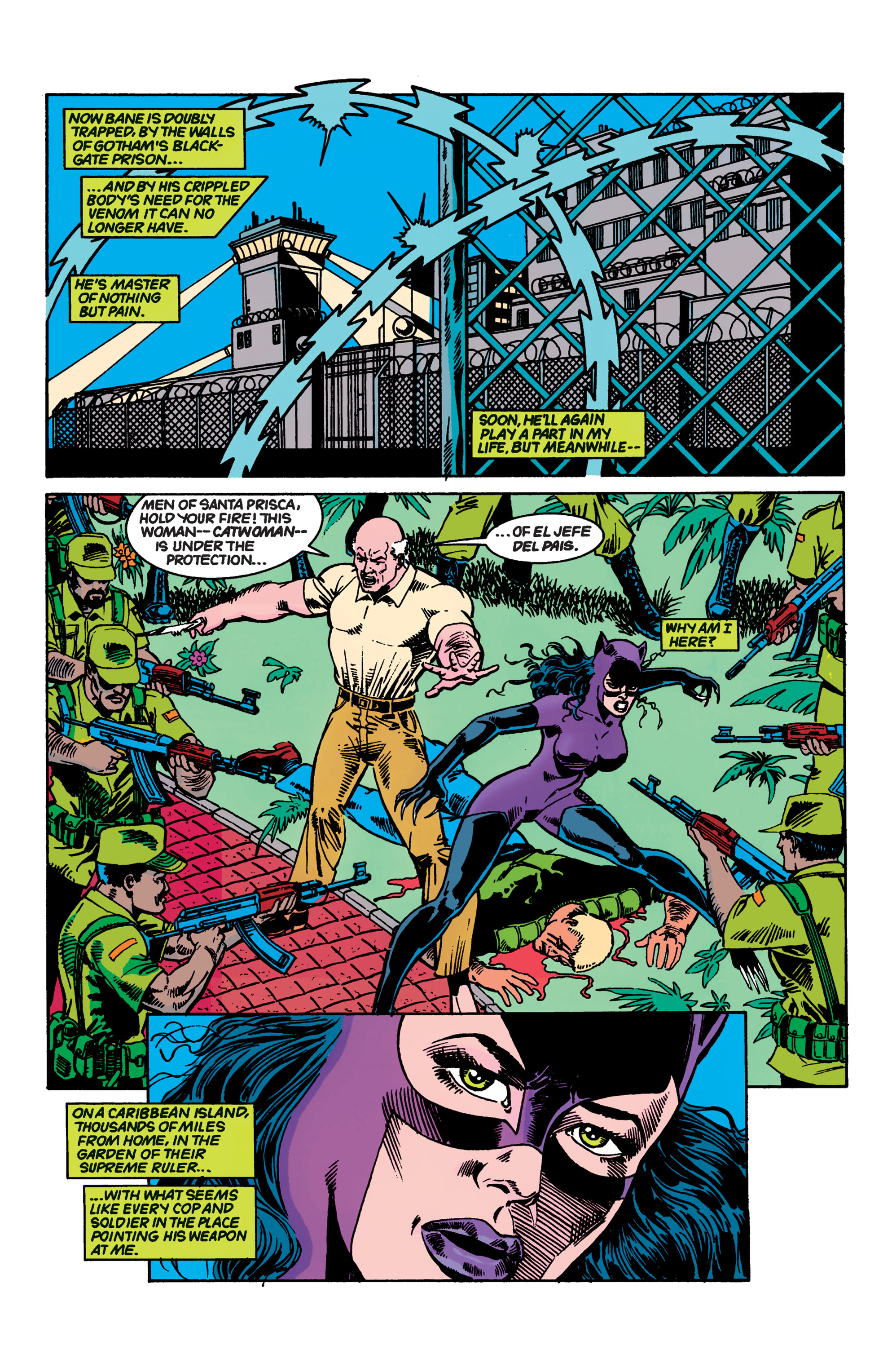 Read online Catwoman (1993) comic -  Issue # _TPB 1 (Part 1) - 88