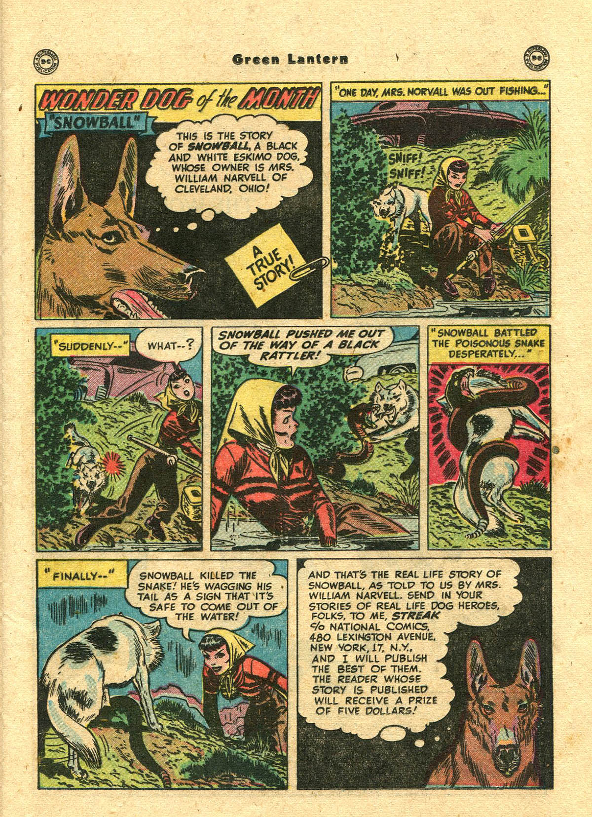 Green Lantern (1941) Issue #38 #38 - English 17