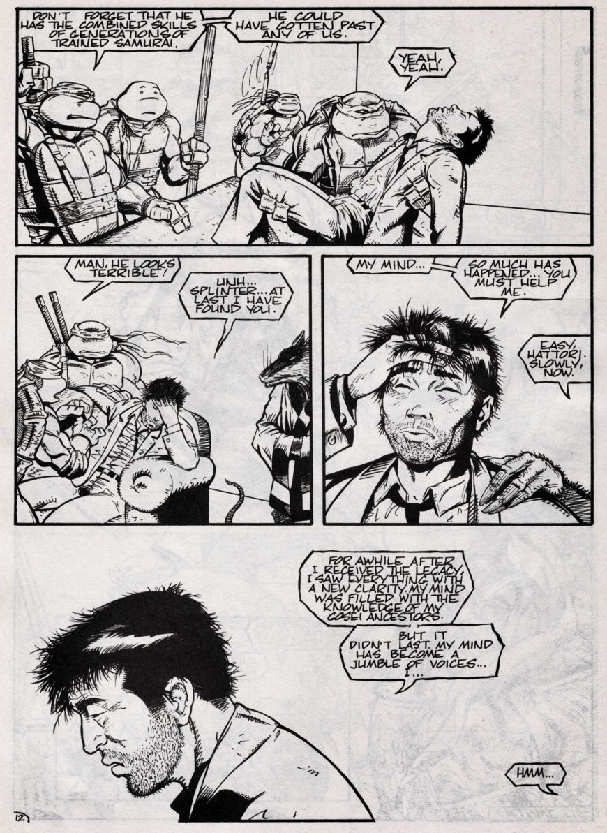 Read online Teenage Mutant Ninja Turtles (1984) comic -  Issue #46 - 12