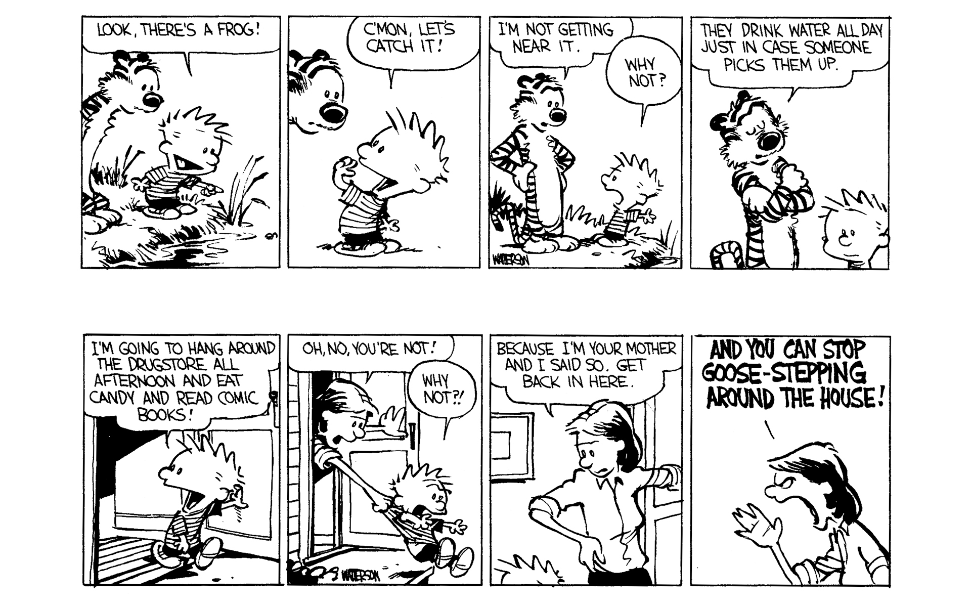 Read online Calvin and Hobbes comic -  Issue #2 - 16