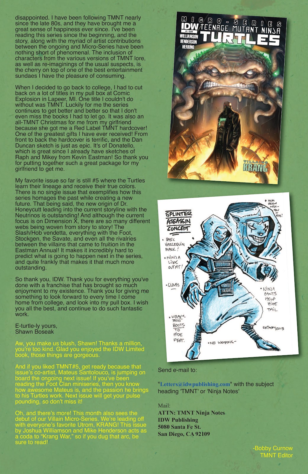 Teenage Mutant Ninja Turtles (2011) issue 21 - Page 31
