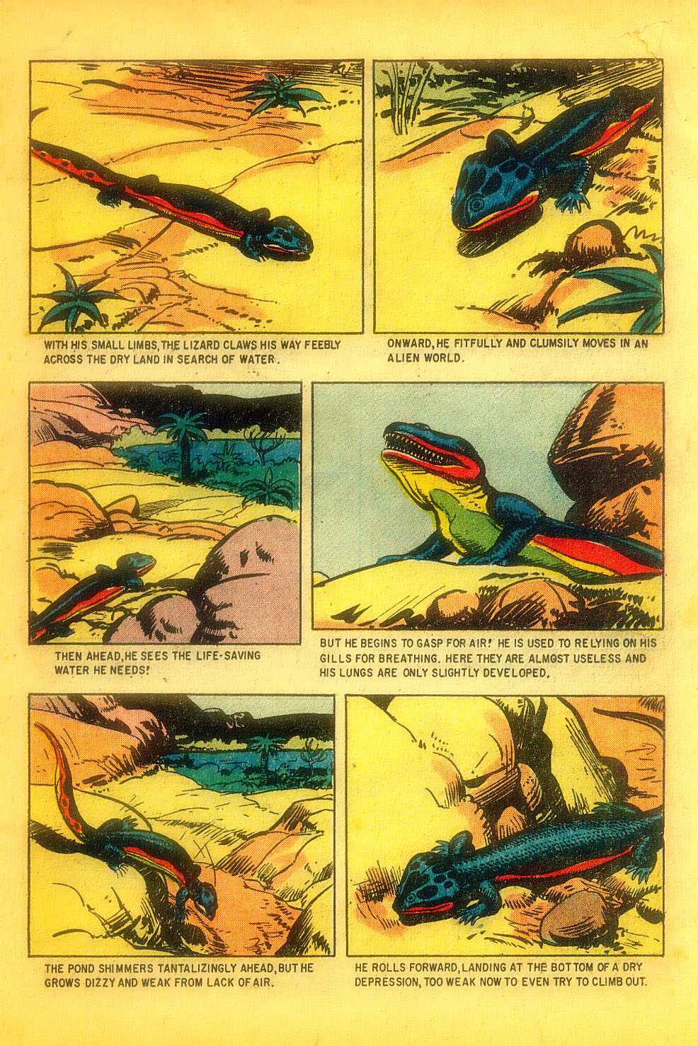 Read online Turok, Son of Stone comic -  Issue #11 - 19