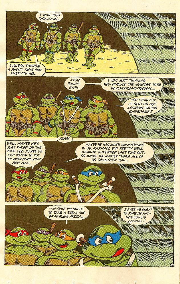 Read online Teenage Mutant Ninja Turtles Adventures (1989) comic -  Issue #23 - 13