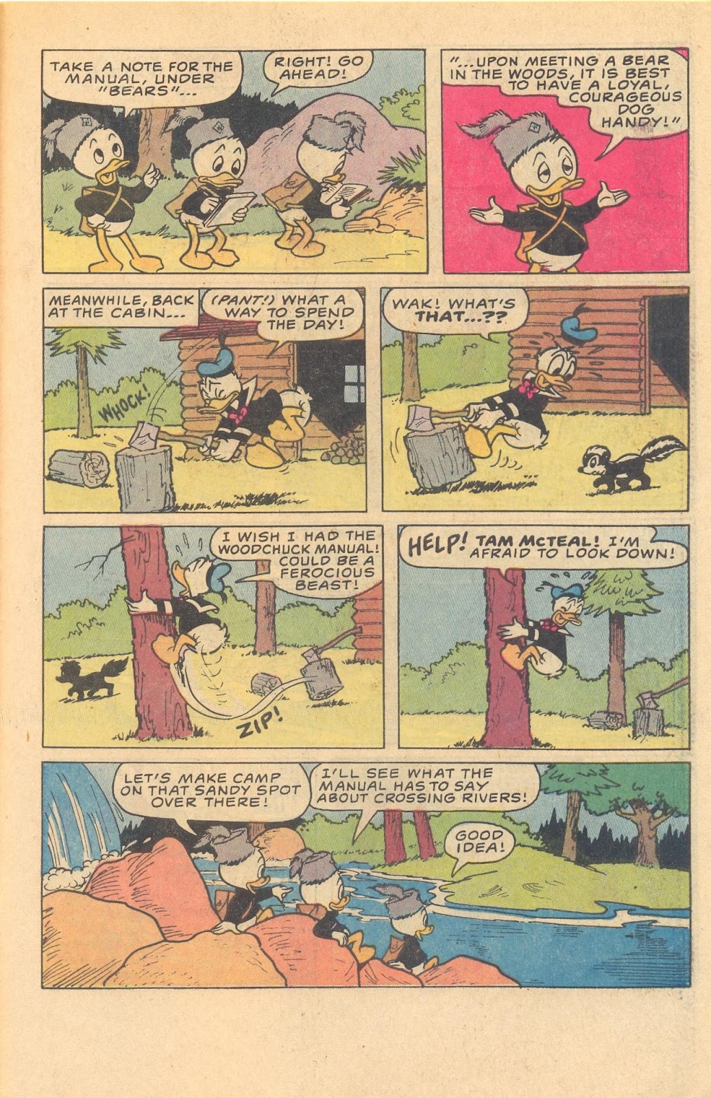 Huey, Dewey, and Louie Junior Woodchucks issue 81 - Page 31