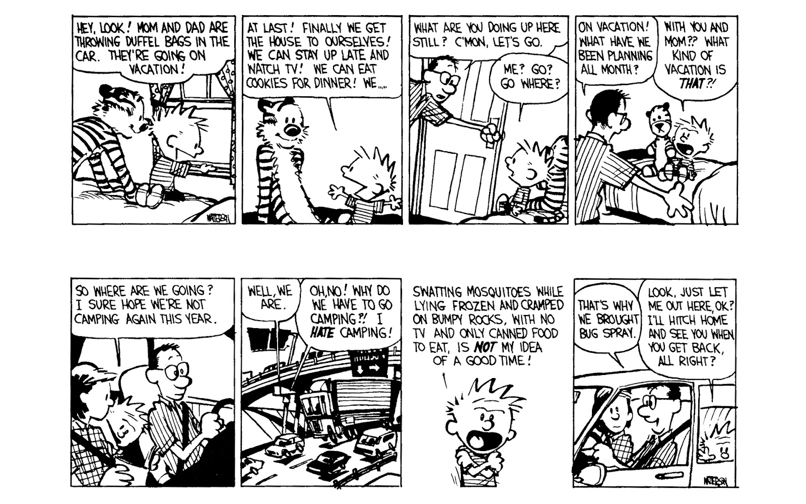 Calvin and Hobbes issue 4 - Page 69