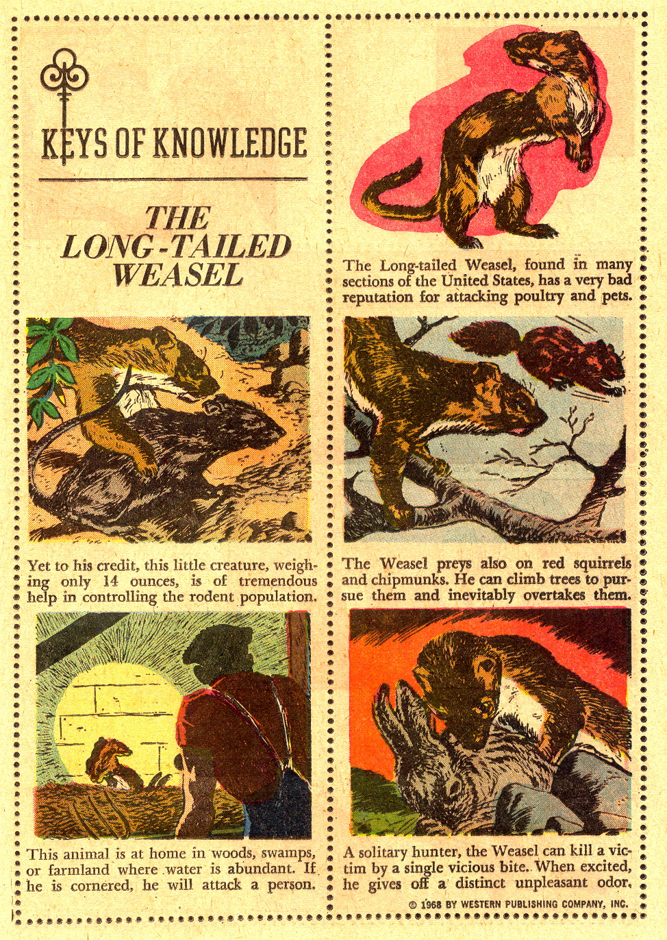 Read online Ripley's Believe it or Not! (1965) comic -  Issue #9 - 17