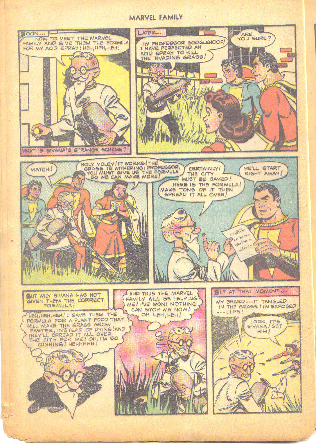 The Marvel Family issue 43 - Page 17