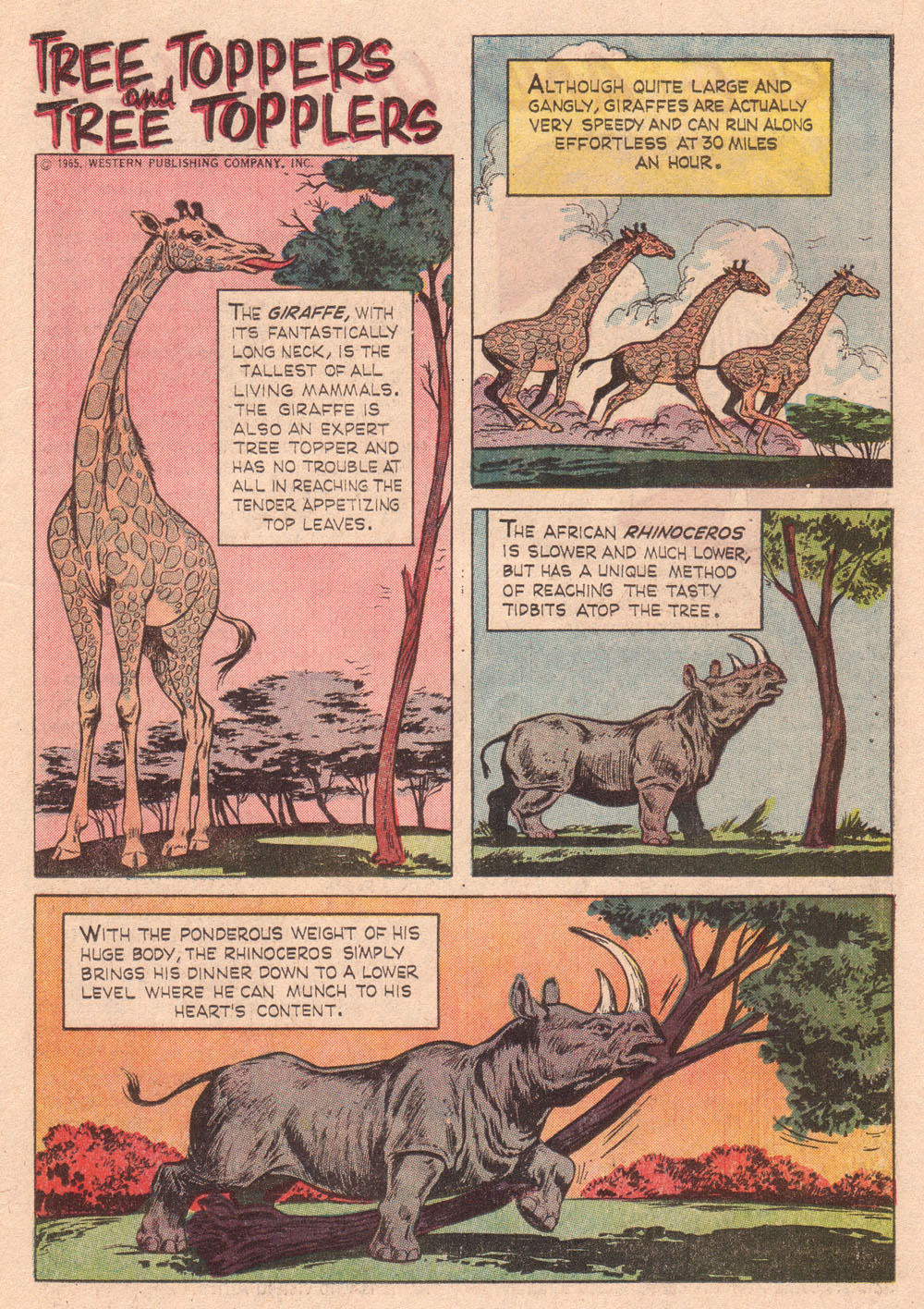 Read online Korak, Son of Tarzan (1964) comic -  Issue #12 - 19