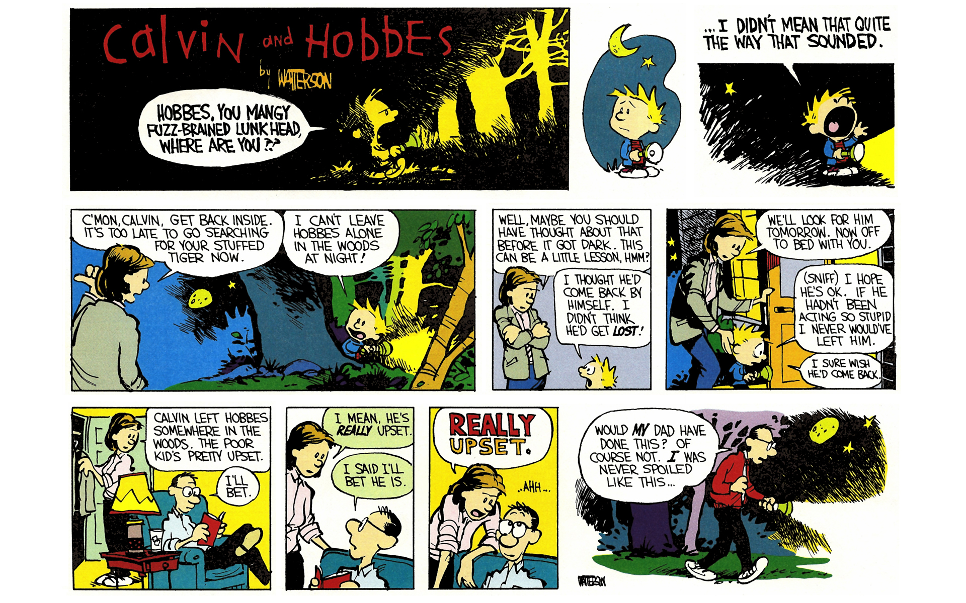 Read online Calvin and Hobbes comic -  Issue #3 - 77