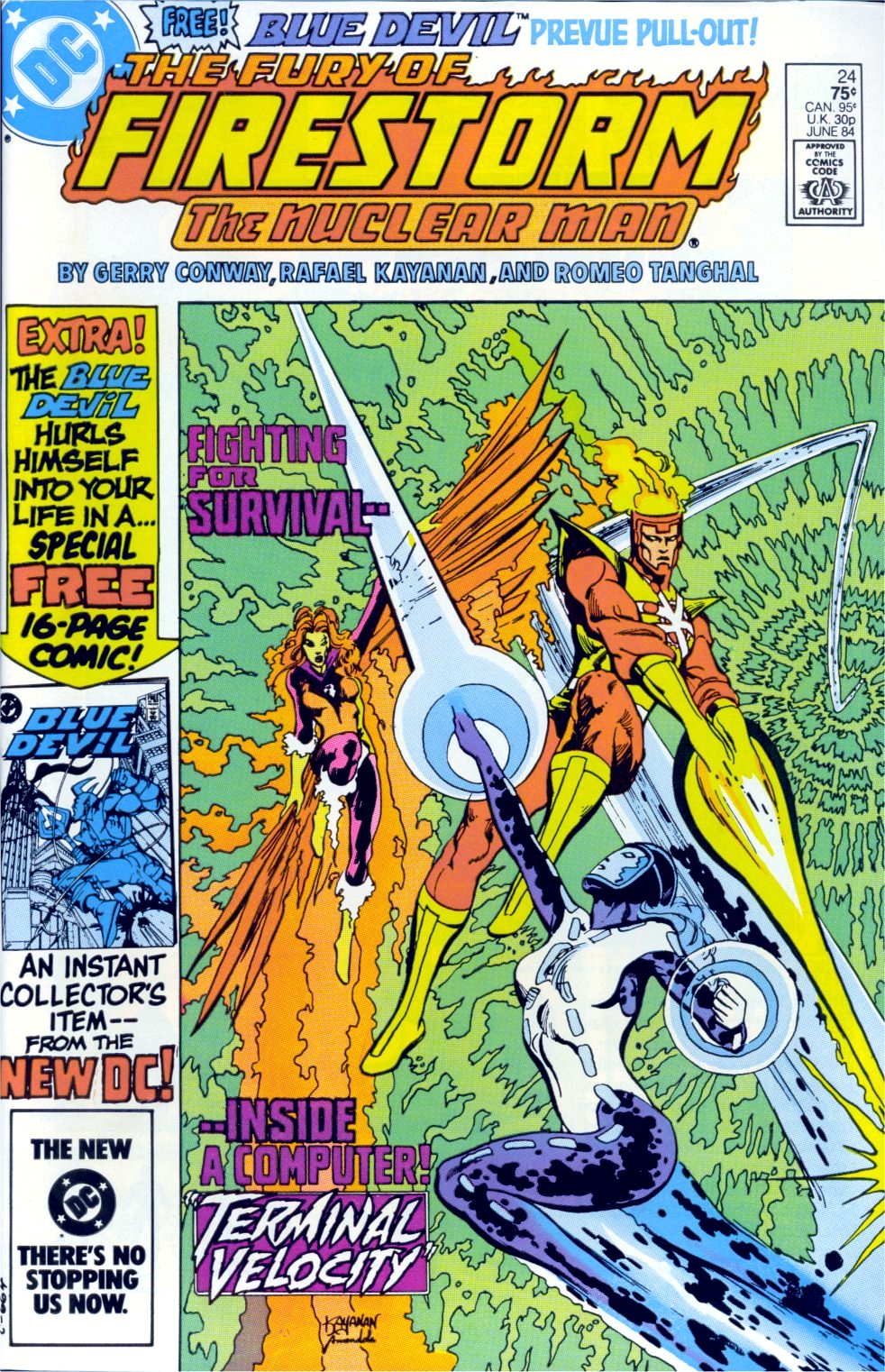 The Fury of Firestorm Issue #24 #28 - English 1