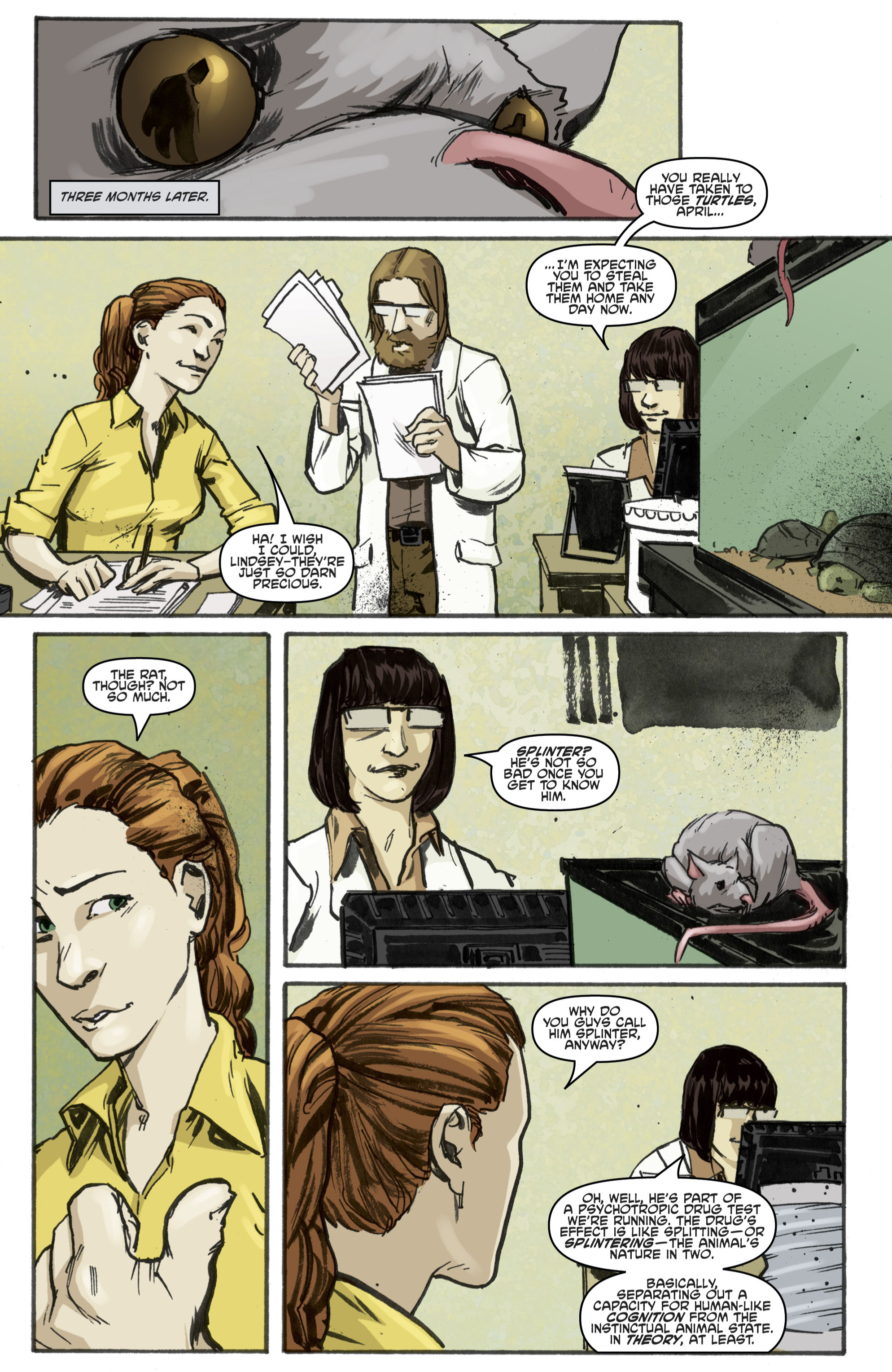 Read online Teenage Mutant Ninja Turtles (2011) comic -  Issue #1 - 18