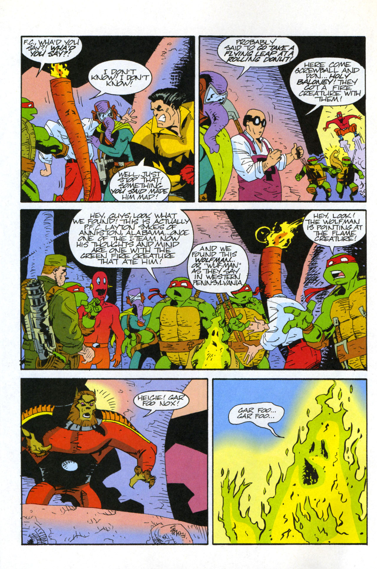 Teenage Mutant Ninja Turtles/Flaming Carrot Crossover Issue #4 #4 - English 10