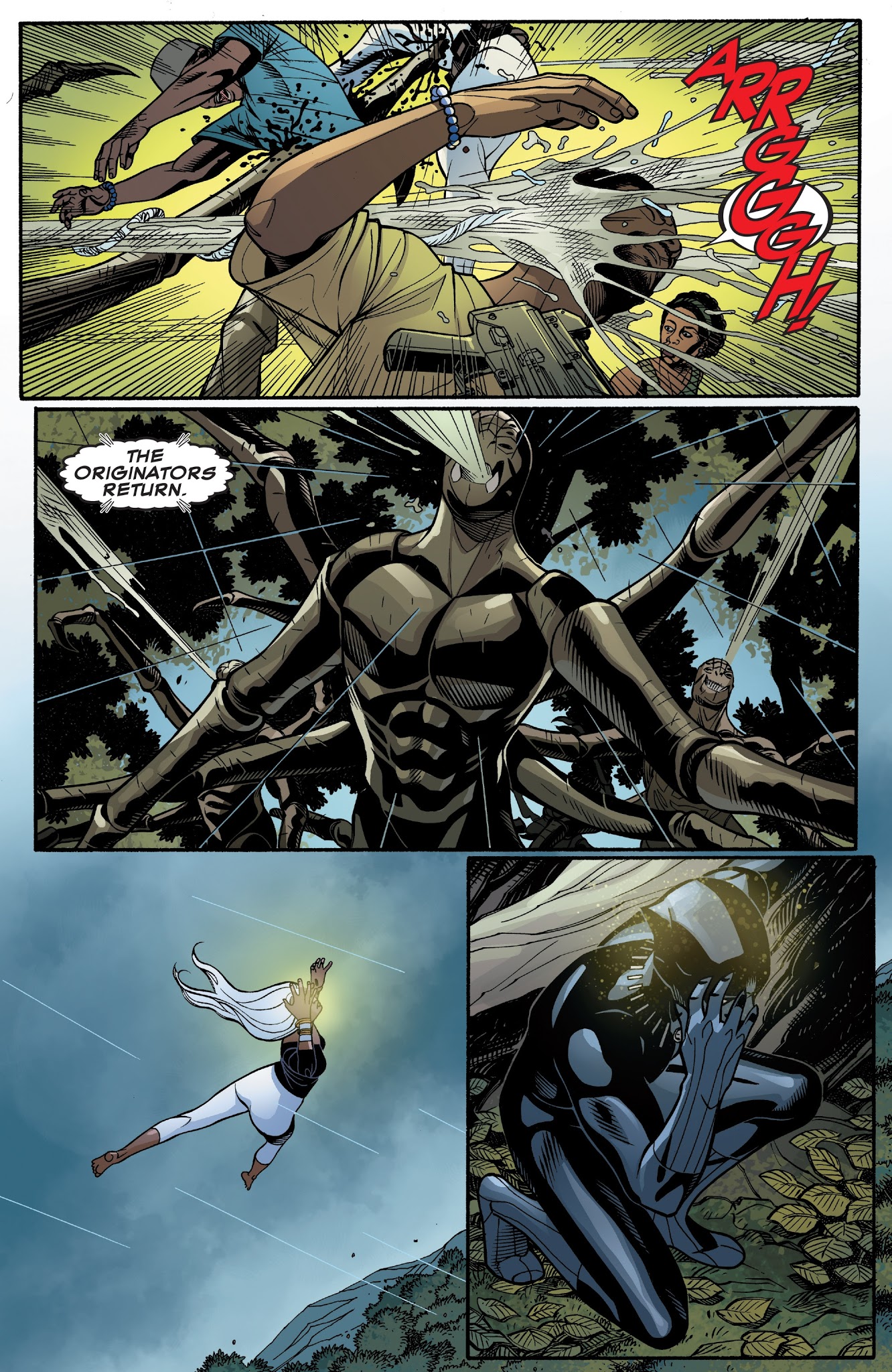 Read online Black Panther (2016) comic -  Issue #17 - 14