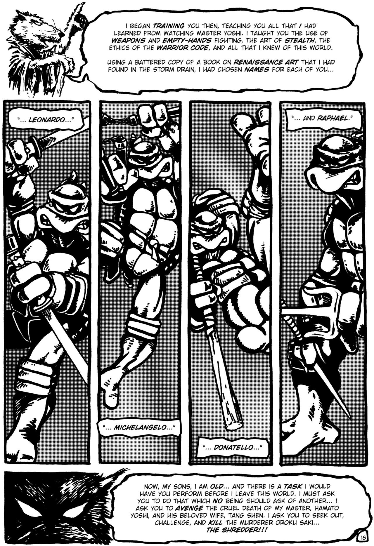 Teenage Mutant Ninja Turtles (1984) Issue #1 #1 - English 19