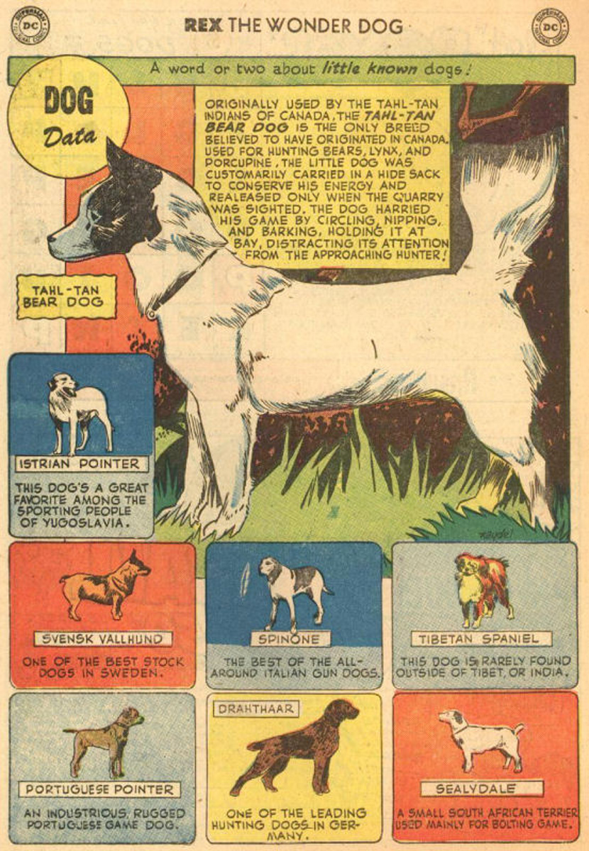 Read online The Adventures of Rex the Wonder Dog comic -  Issue #5 - 34