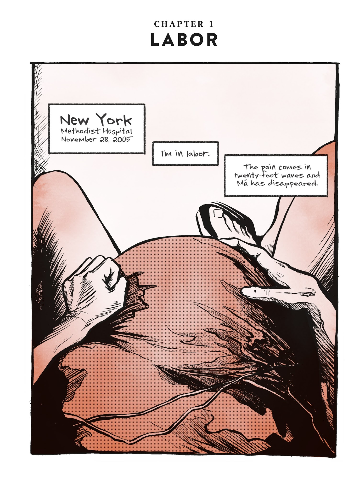 Read online The Best We Could Do comic -  Issue # TPB - 12