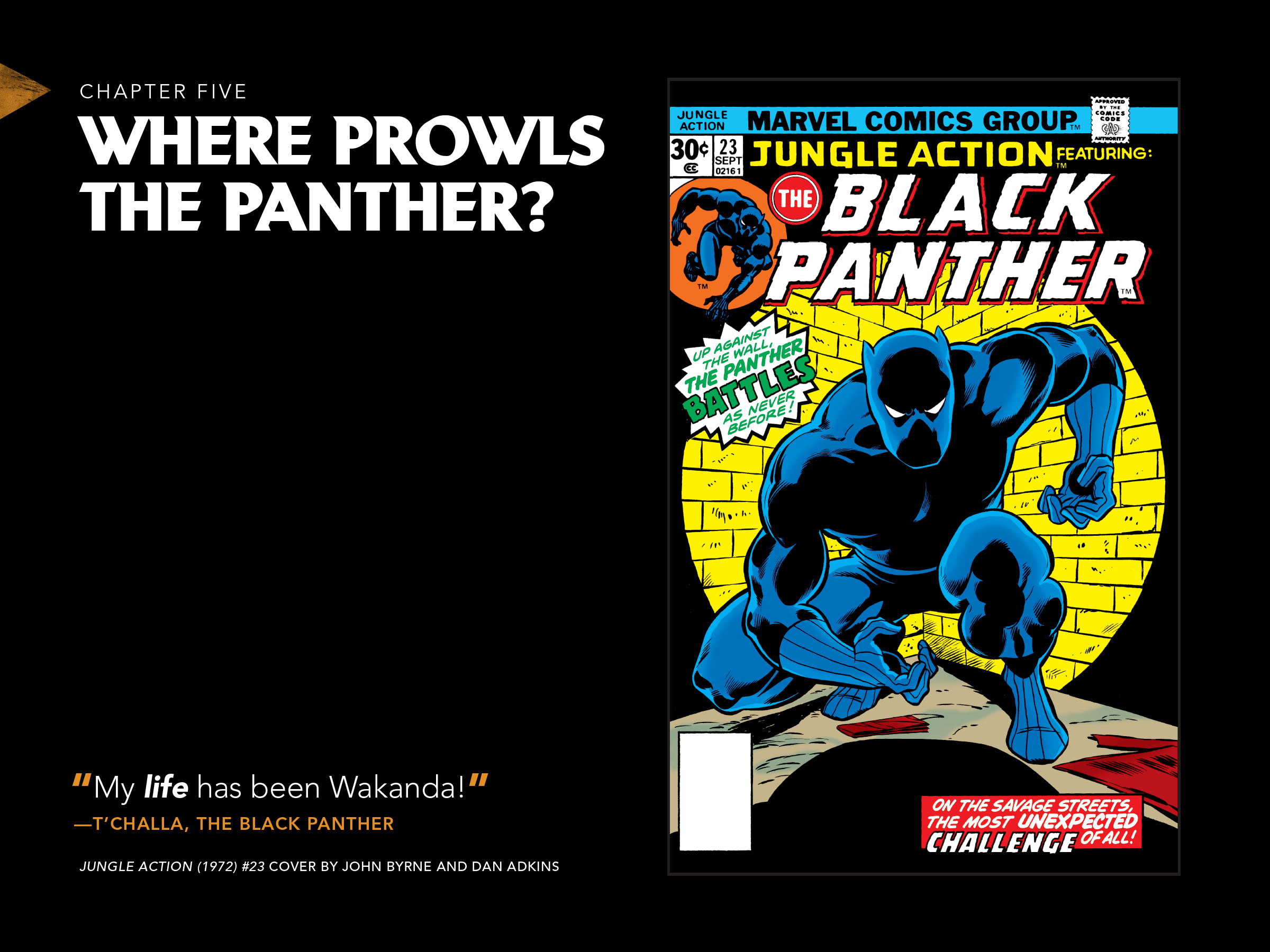 Read online Black Panther: Visions of Wakanda comic -  Issue # TPB (Part 1) - 96