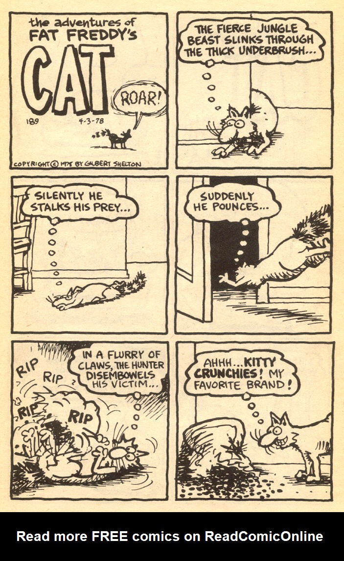 Read online Adventures of Fat Freddy's Cat comic -  Issue #4 - 41