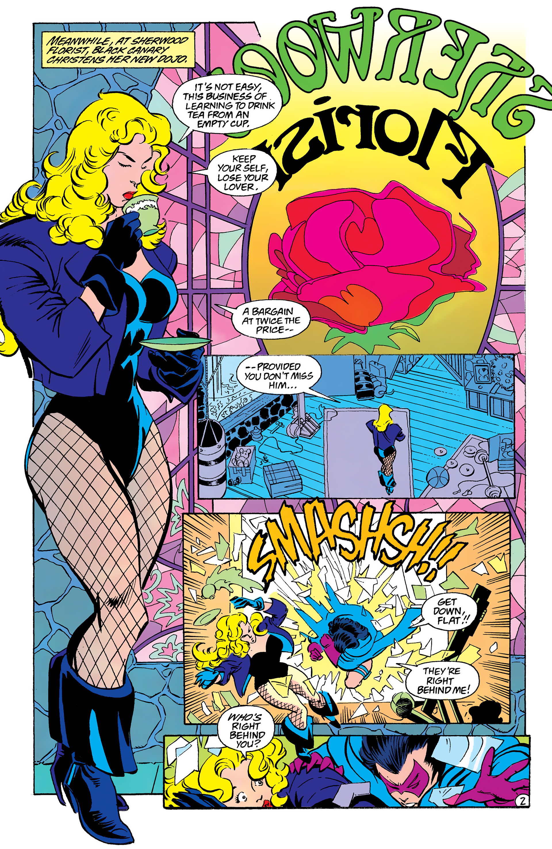 Read online Black Canary (1993) comic -  Issue #9 - 3