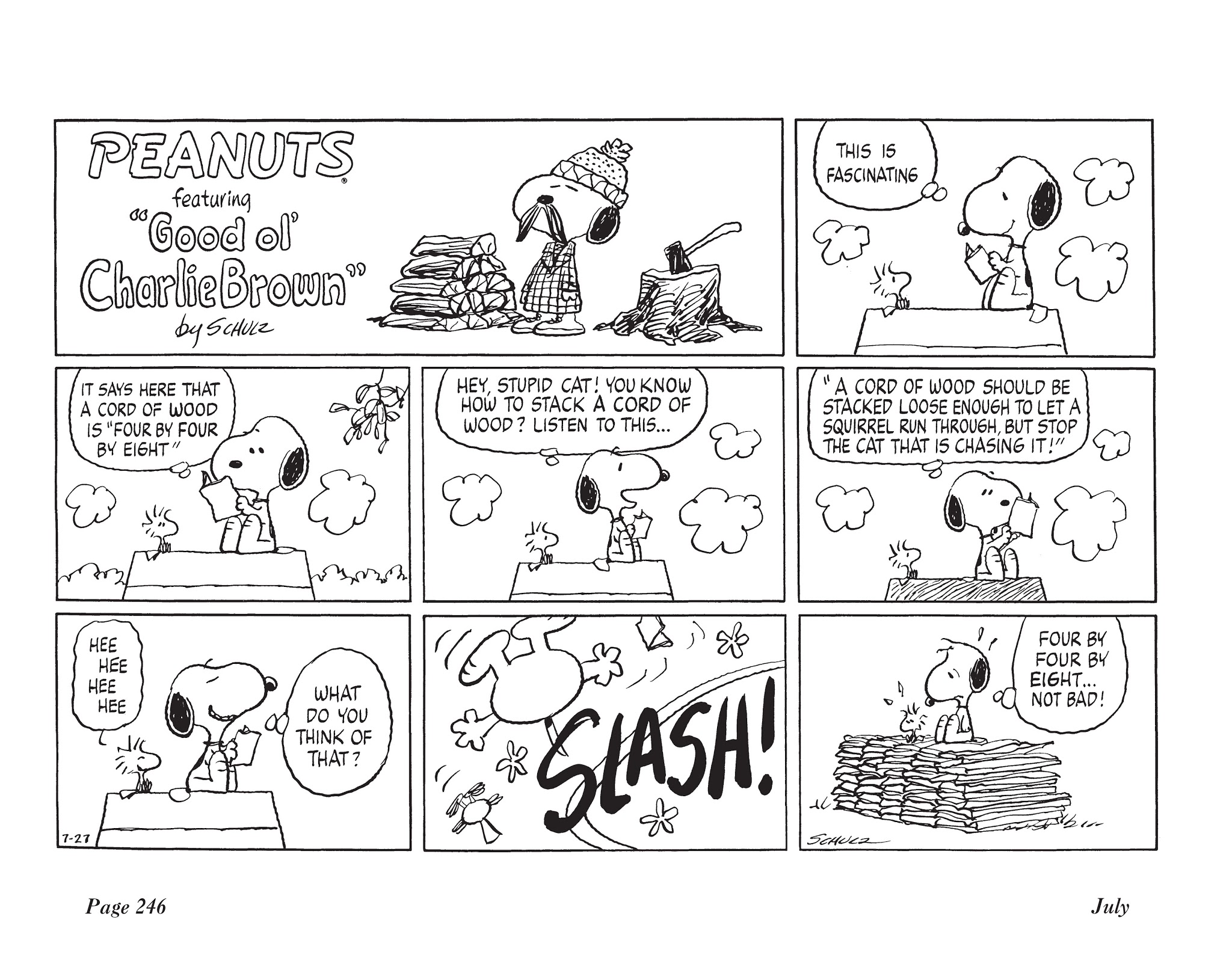 Read online The Complete Peanuts comic -  Issue # TPB 15 - 260