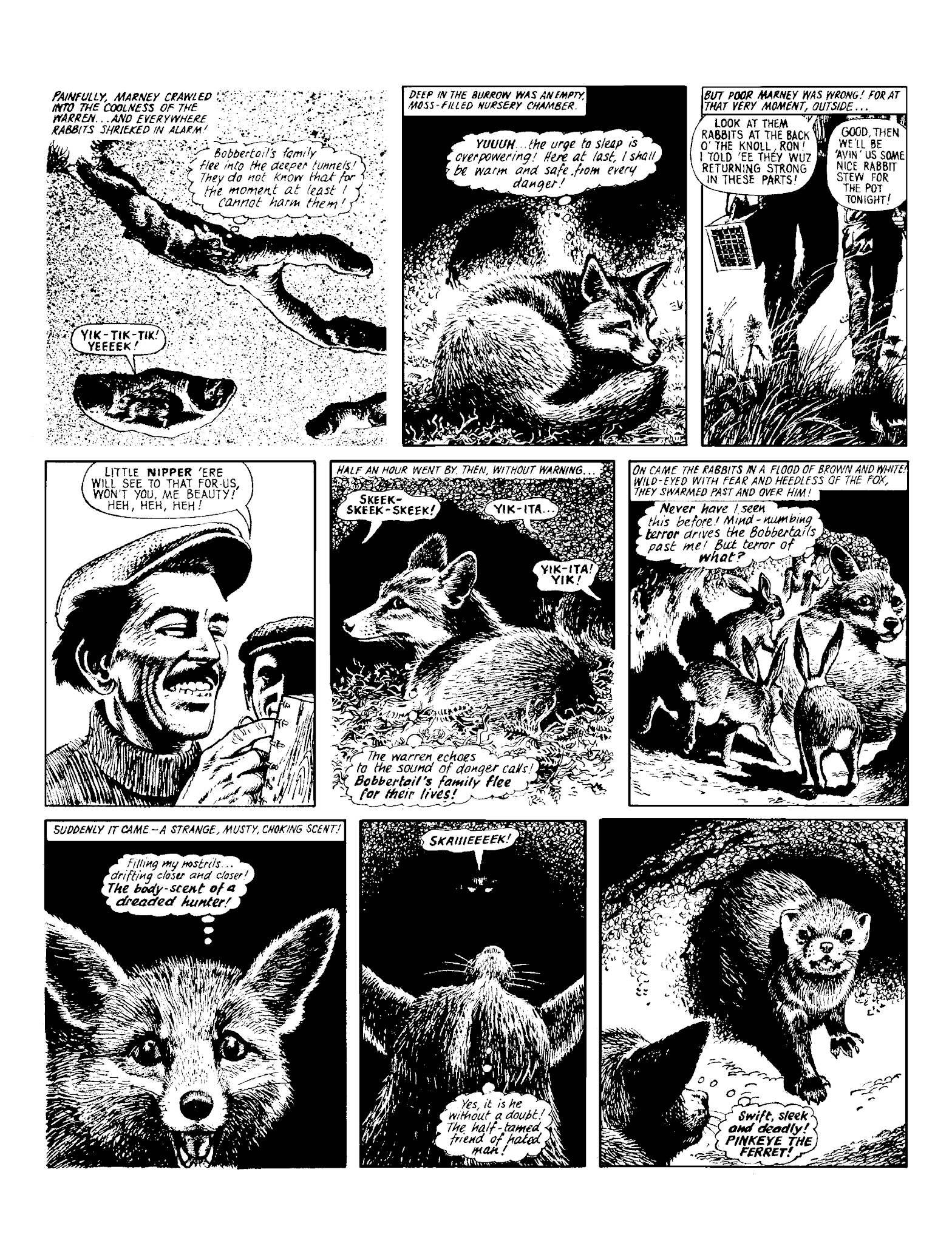 Read online Marney the Fox comic -  Issue # TPB (Part 2) - 29