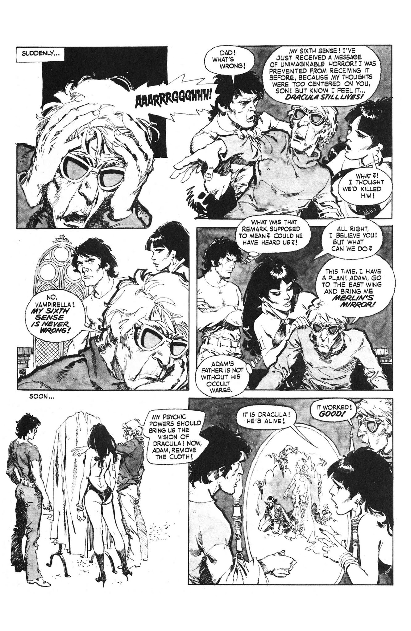Read online Vampirella: The Essential Warren Years comic -  Issue # TPB (Part 2) - 87