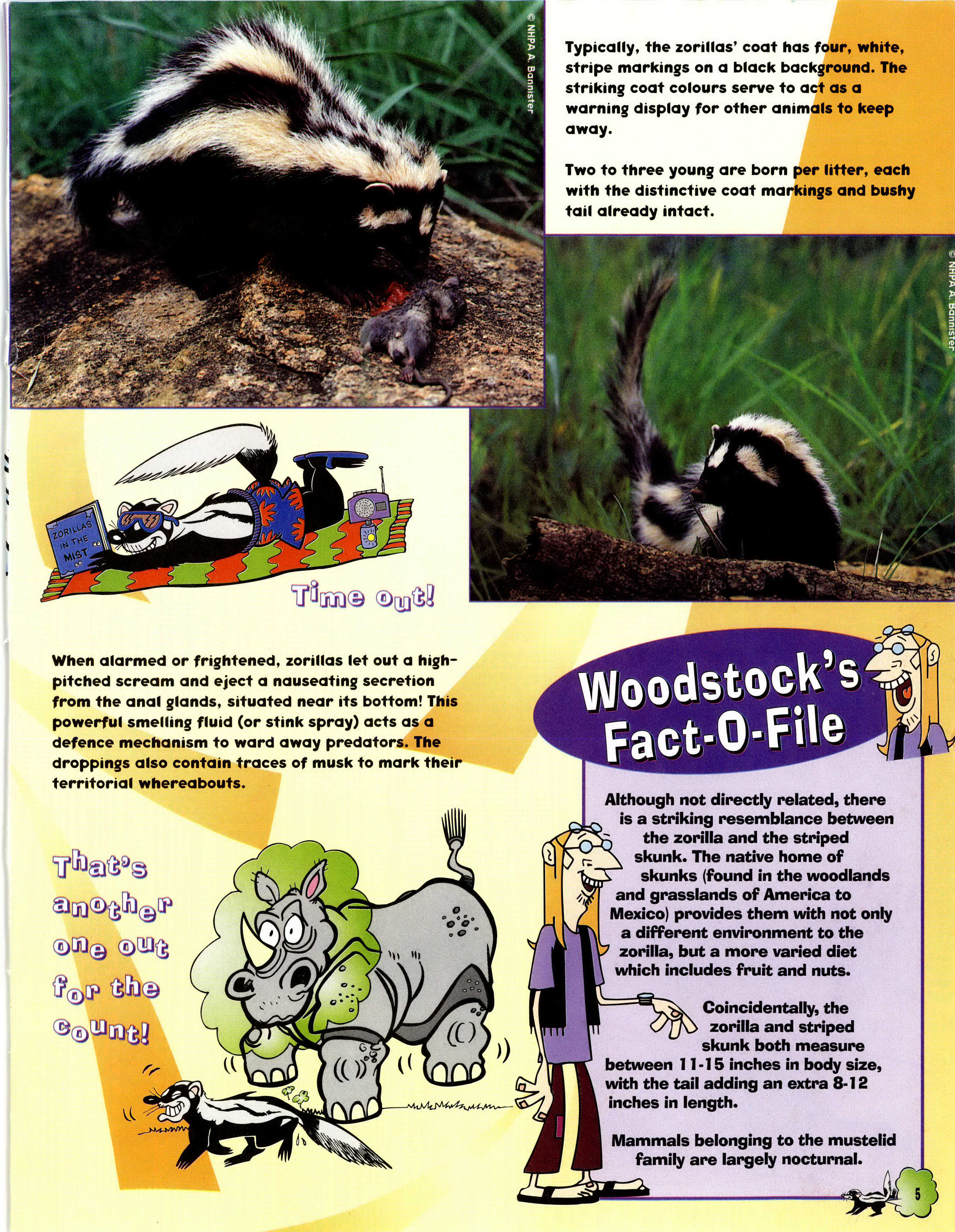 Read online Ace Ventura Pet Detective comic -  Issue #7 - 5