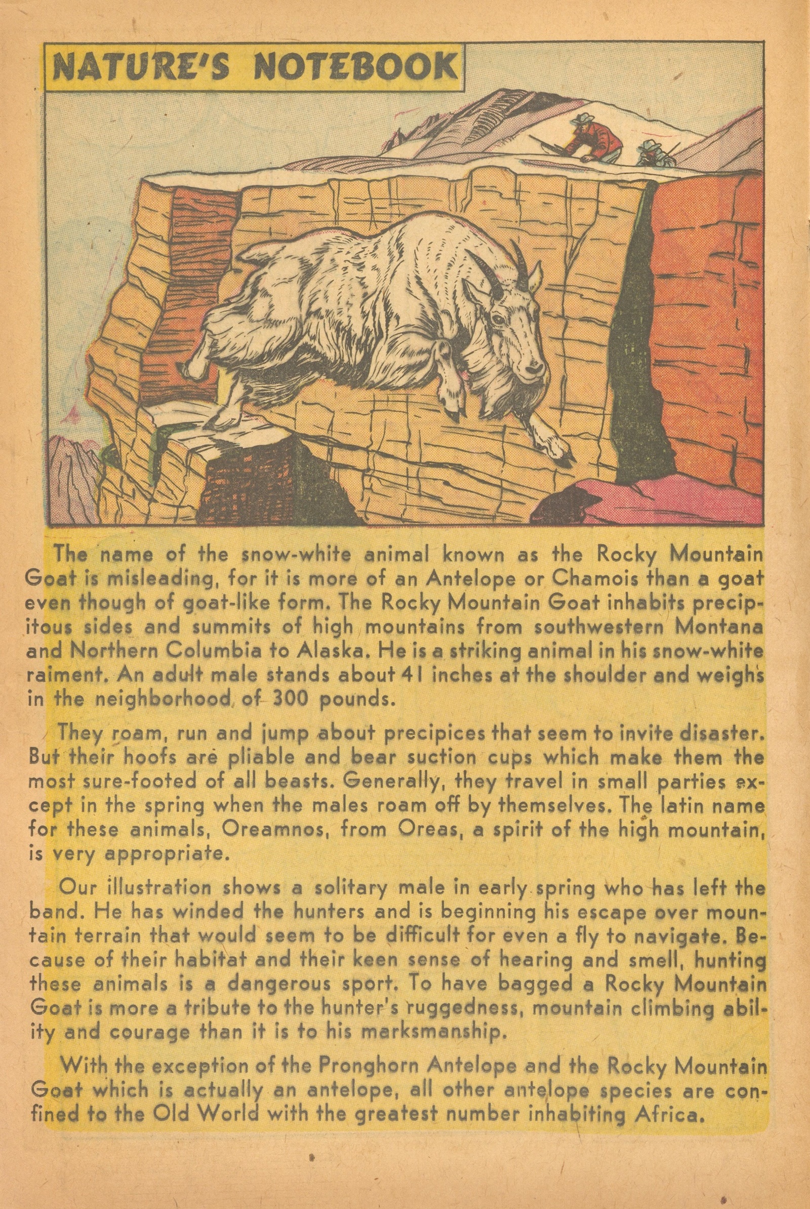 Read online Pat the Brat comic -  Issue #29 - 18