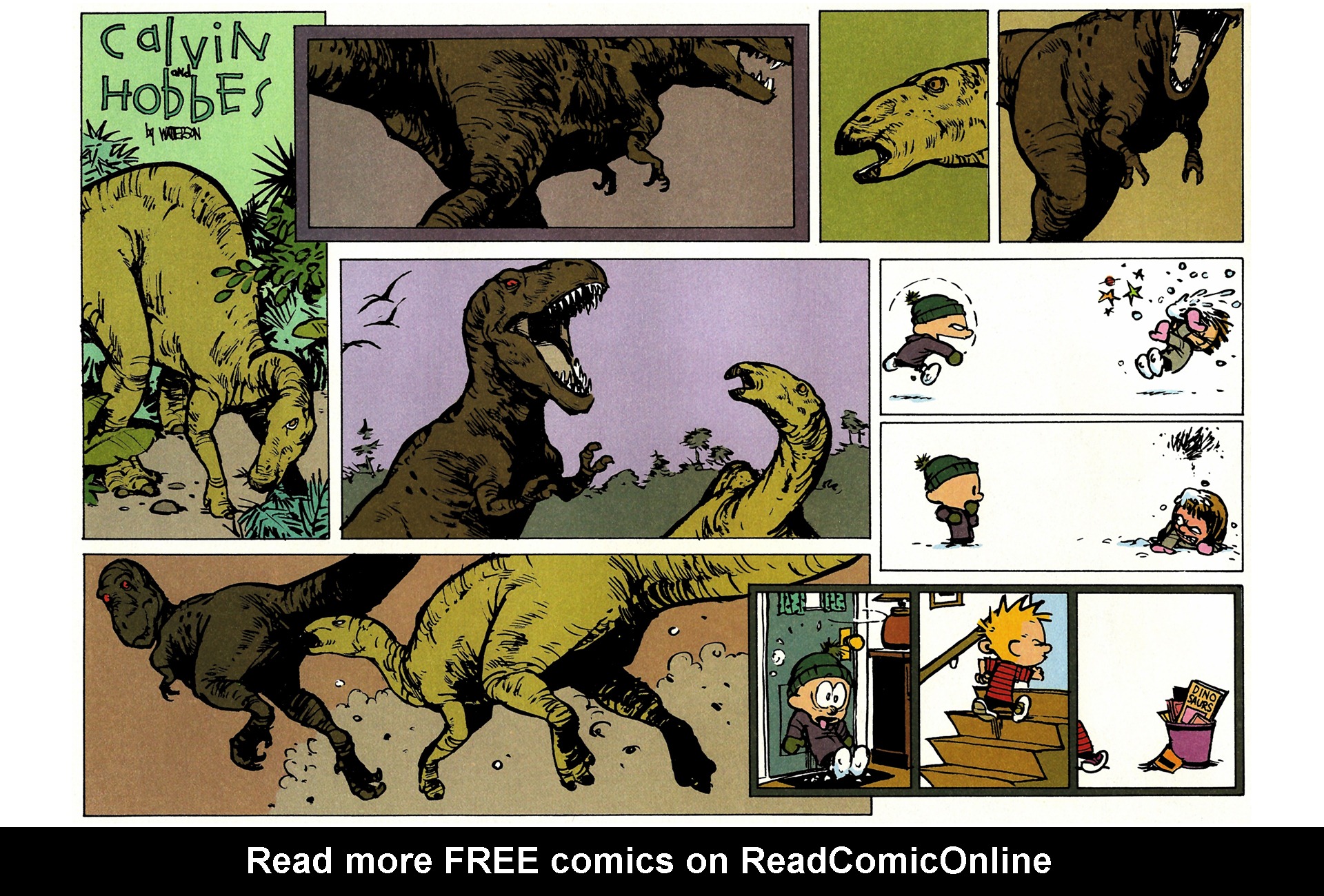 Read online Calvin and Hobbes comic -  Issue #9 - 49