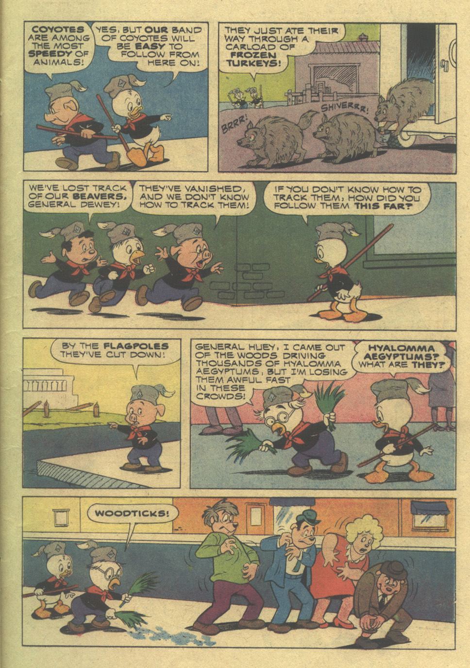 Read online Huey, Dewey, and Louie Junior Woodchucks comic -  Issue #23 - 11