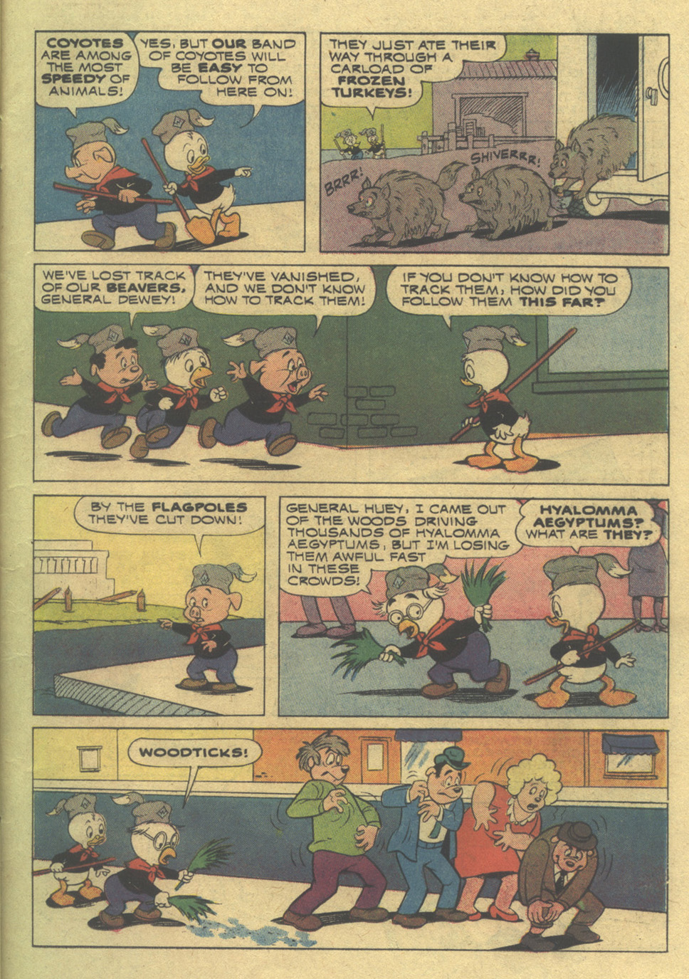 Huey, Dewey, and Louie Junior Woodchucks issue 23 - Page 11