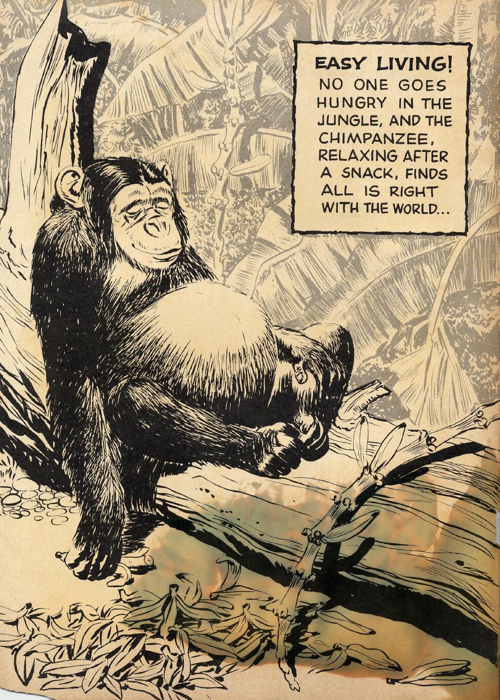 Read online Tarzan (1948) comic -  Issue #114 - 2