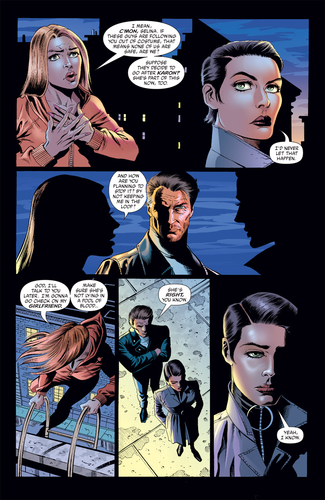 Read online Catwoman (2002) comic -  Issue #29 - 17