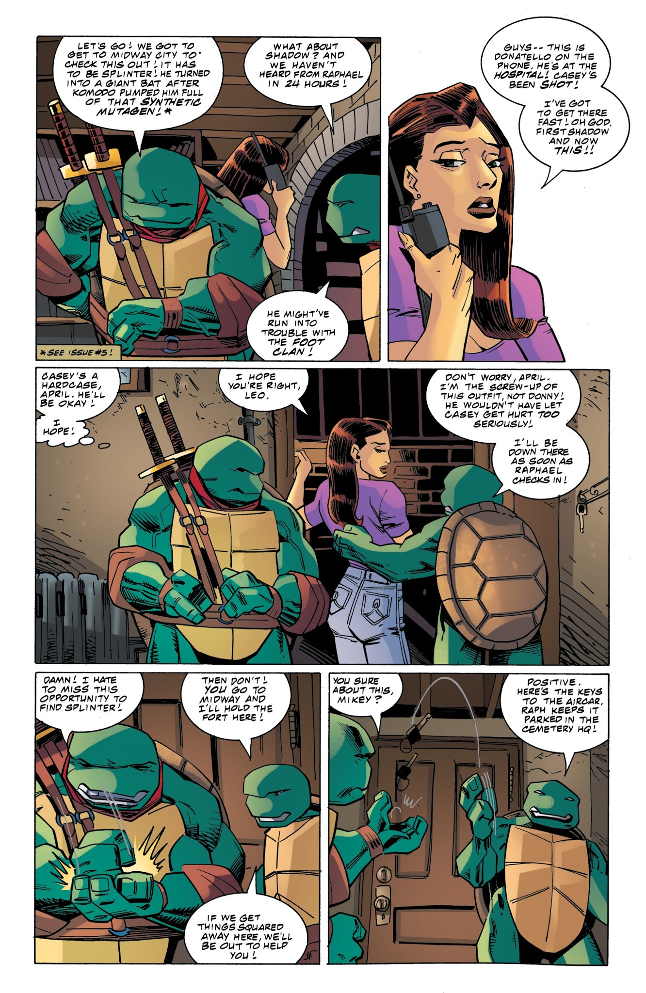 Read online Teenage Mutant Ninja Turtles: Urban Legends comic -  Issue #8 - 12