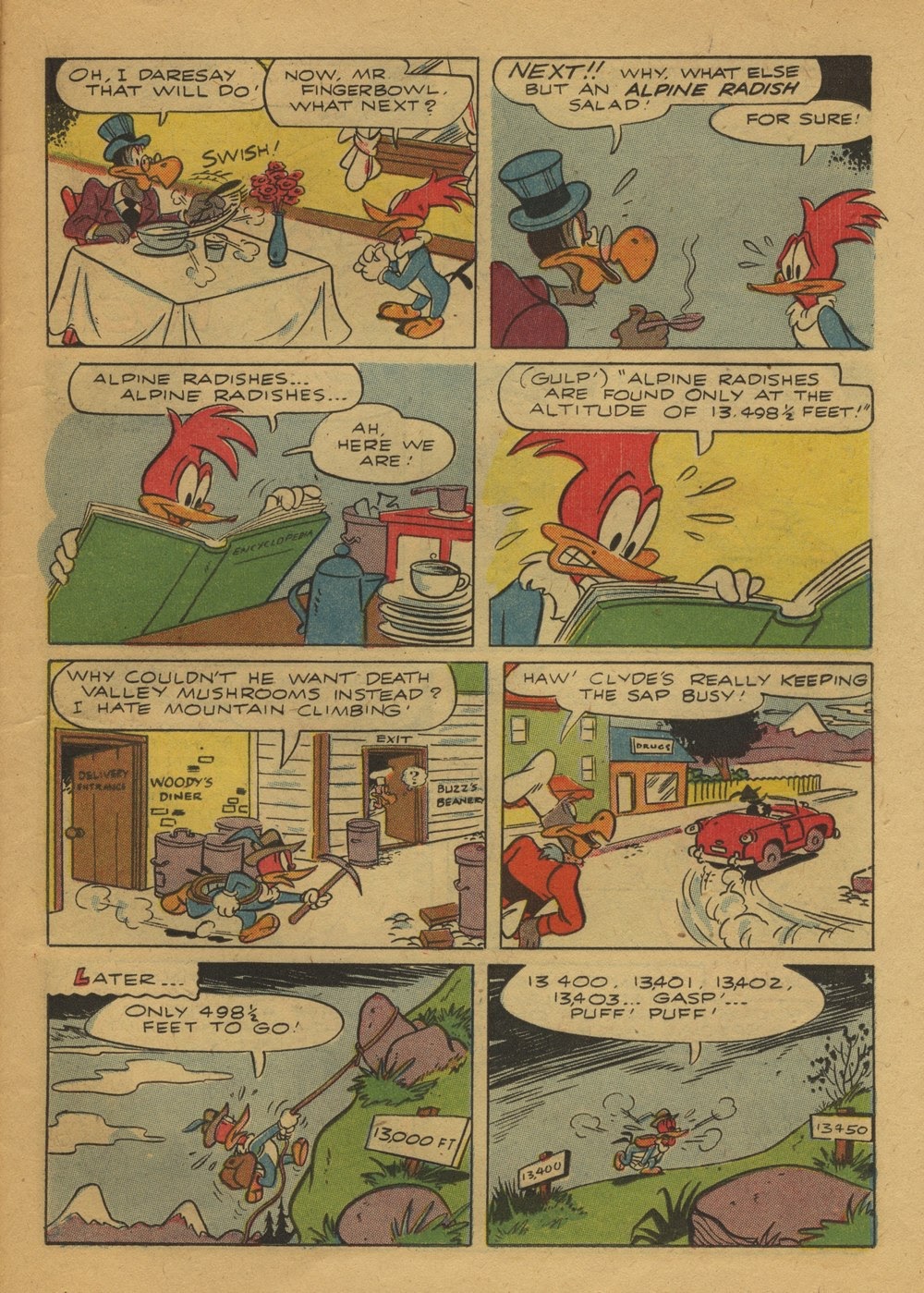Read online Walter Lantz Woody Woodpecker (1952) comic -  Issue #23 - 23