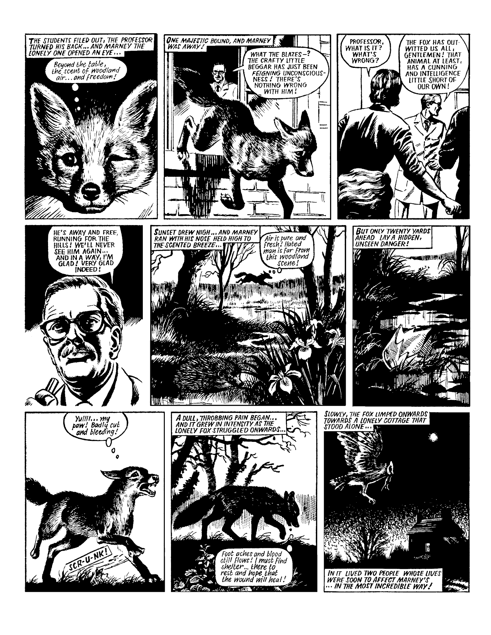 Read online Marney the Fox comic -  Issue # TPB (Part 1) - 74