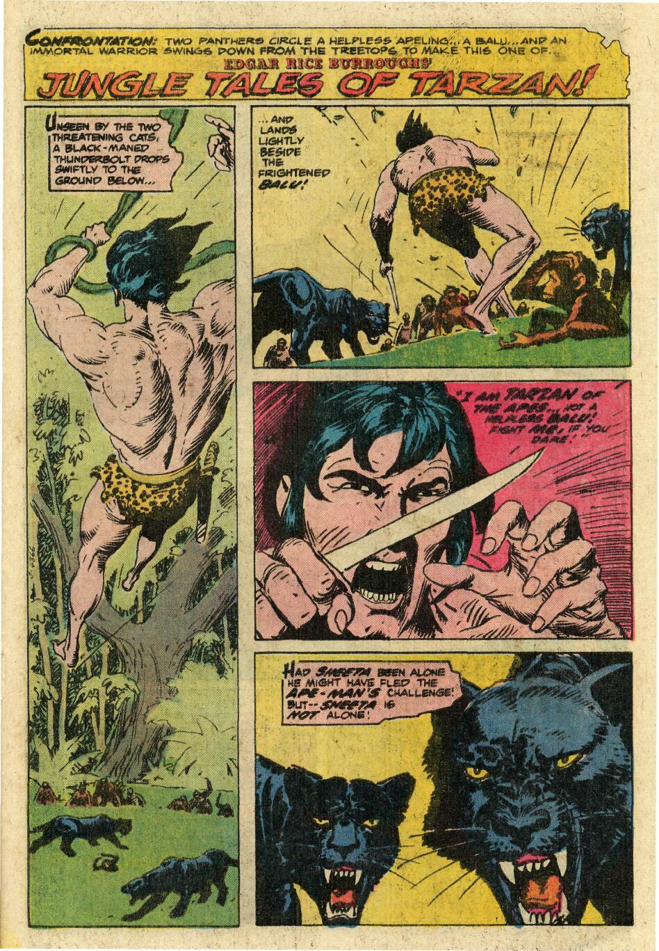 Read online Tarzan (1972) comic -  Issue #253 - 25