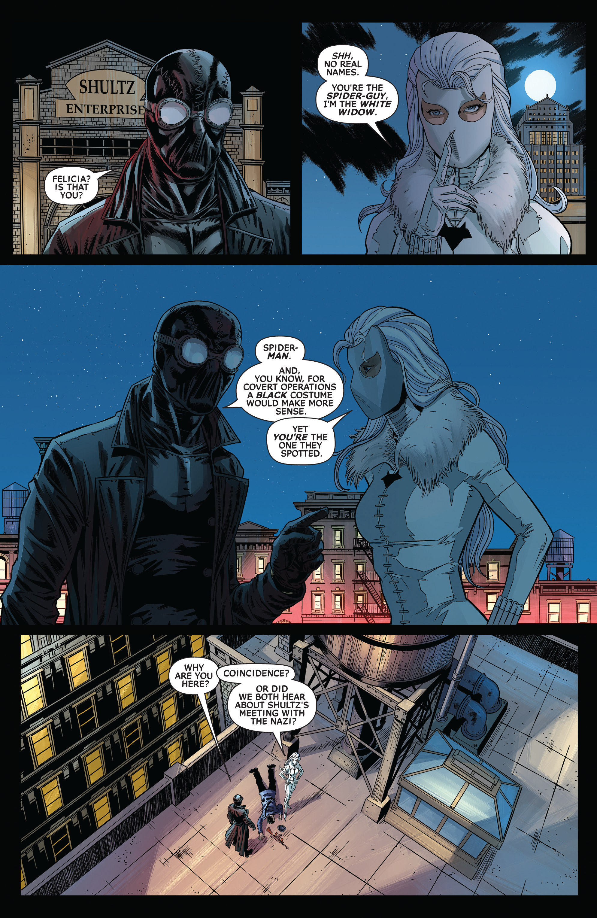 Read online Spider-Man Noir: The Complete Collection comic -  Issue # TPB (Part 3) - 21