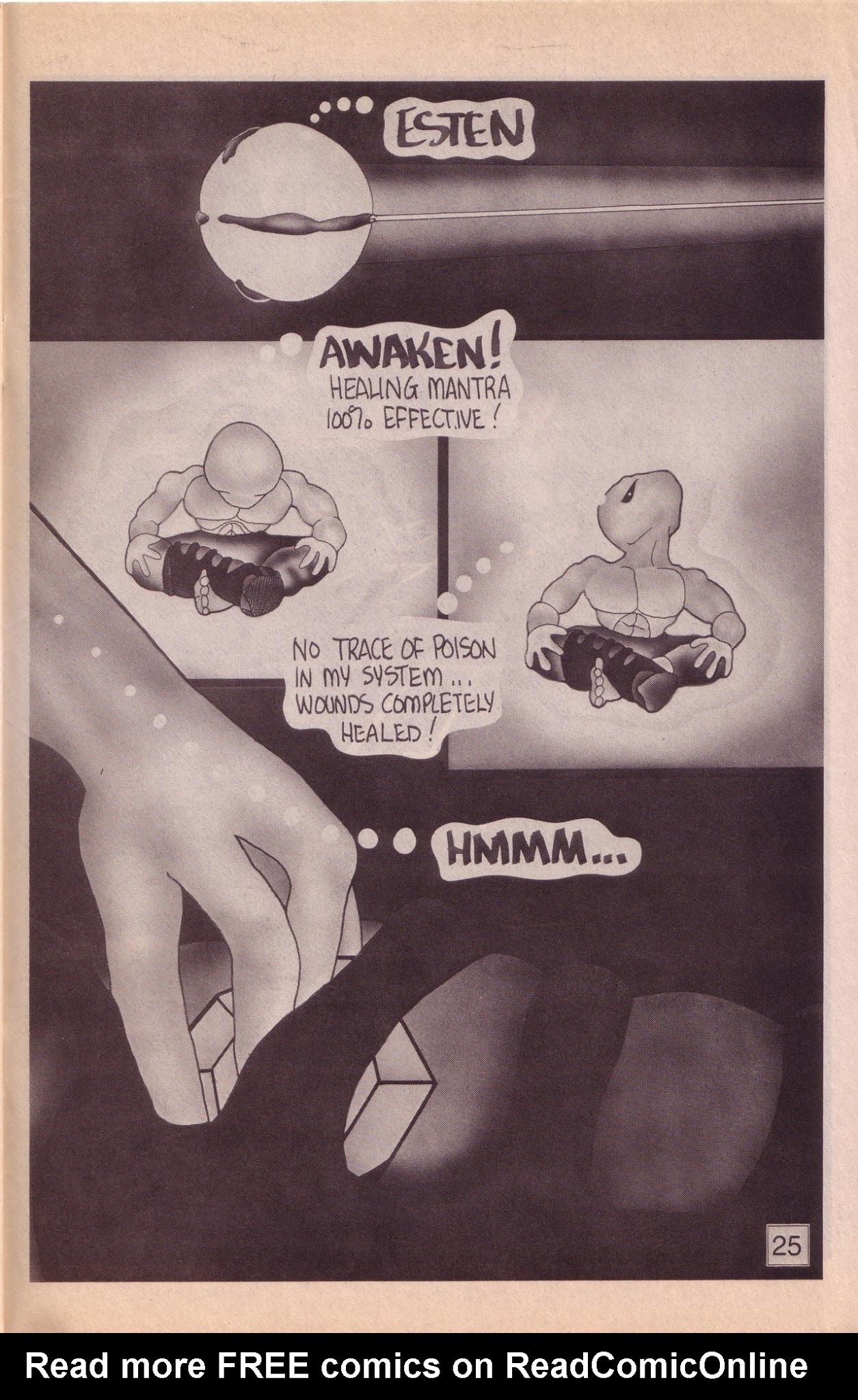 Read online Zen Intergalactic Ninja comic -  Issue #1 - 27