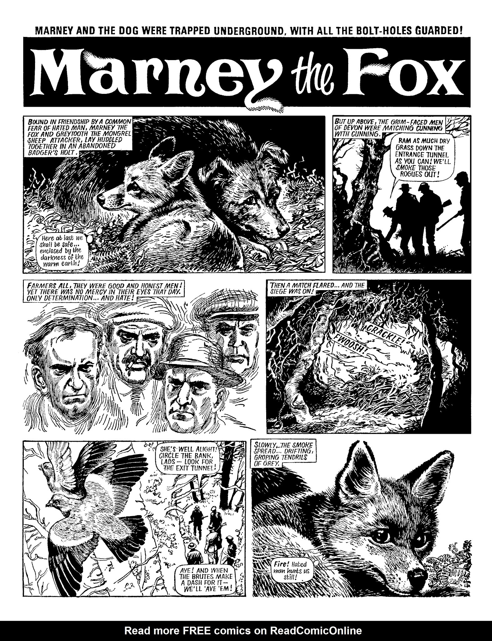 Read online Marney the Fox comic -  Issue # TPB (Part 1) - 61