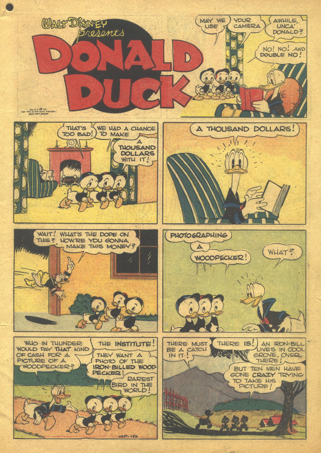 Read online Walt Disney's Comics and Stories comic -  Issue #57 - 3