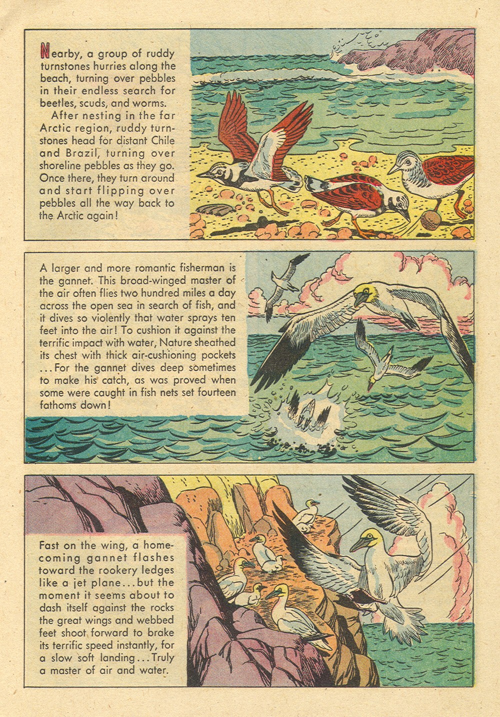 Read online Four Color Comics comic -  Issue #700 - 9