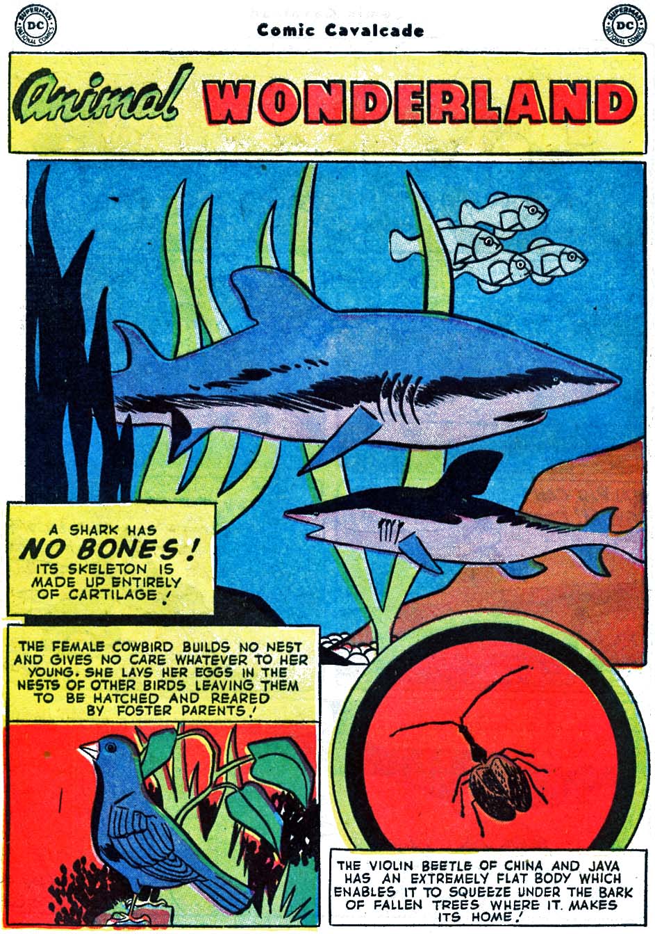 Read online Comic Cavalcade comic -  Issue #60 - 54