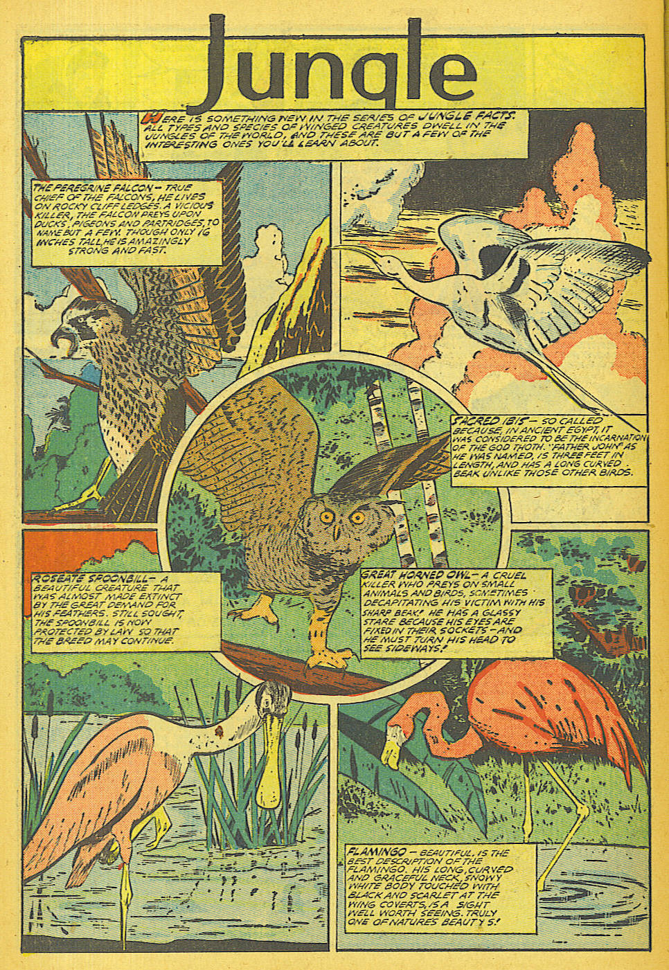 Read online Jungle Comics comic -  Issue #110 - 42