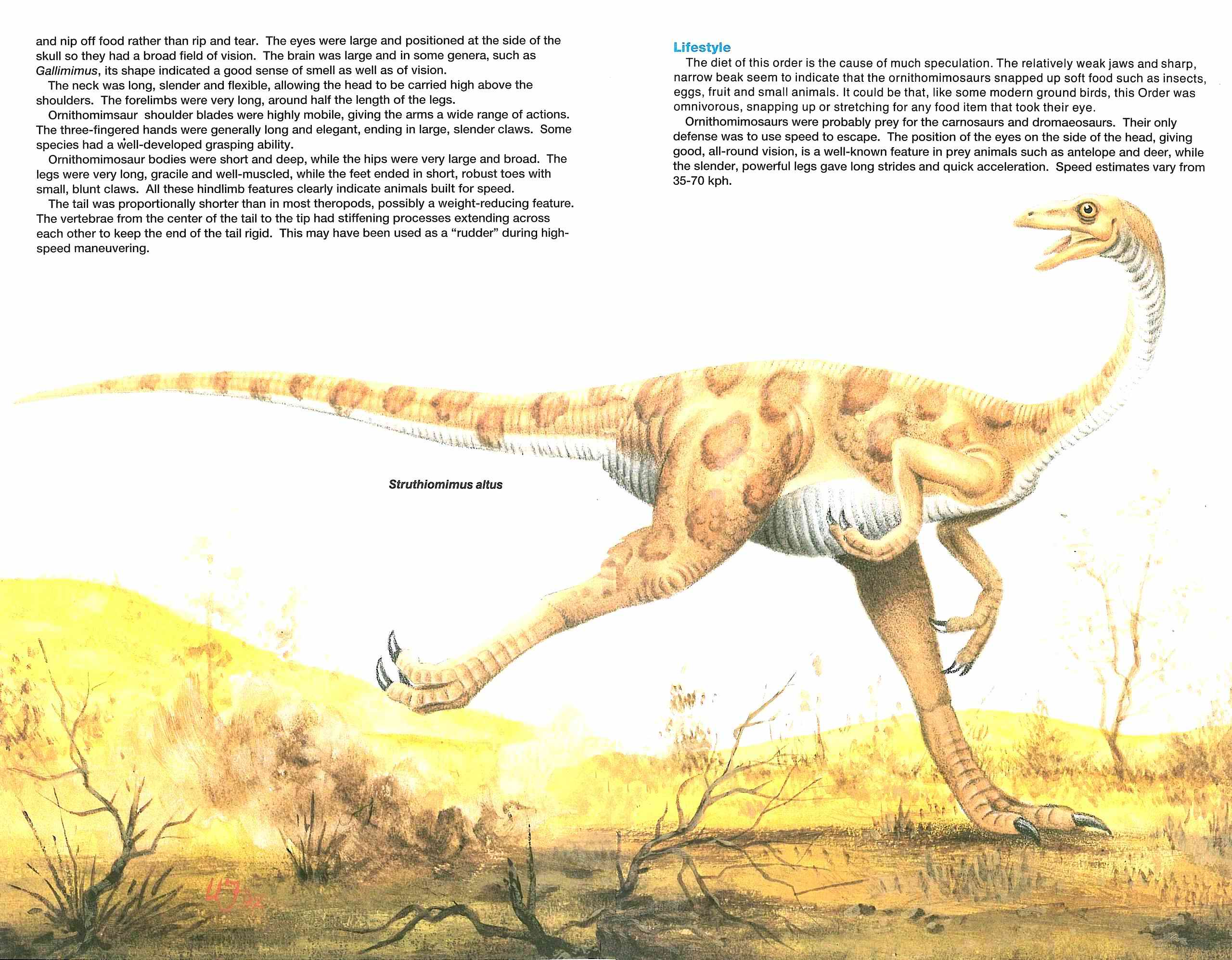 Read online Dinosaurs, A Celebration comic -  Issue #2 - 19