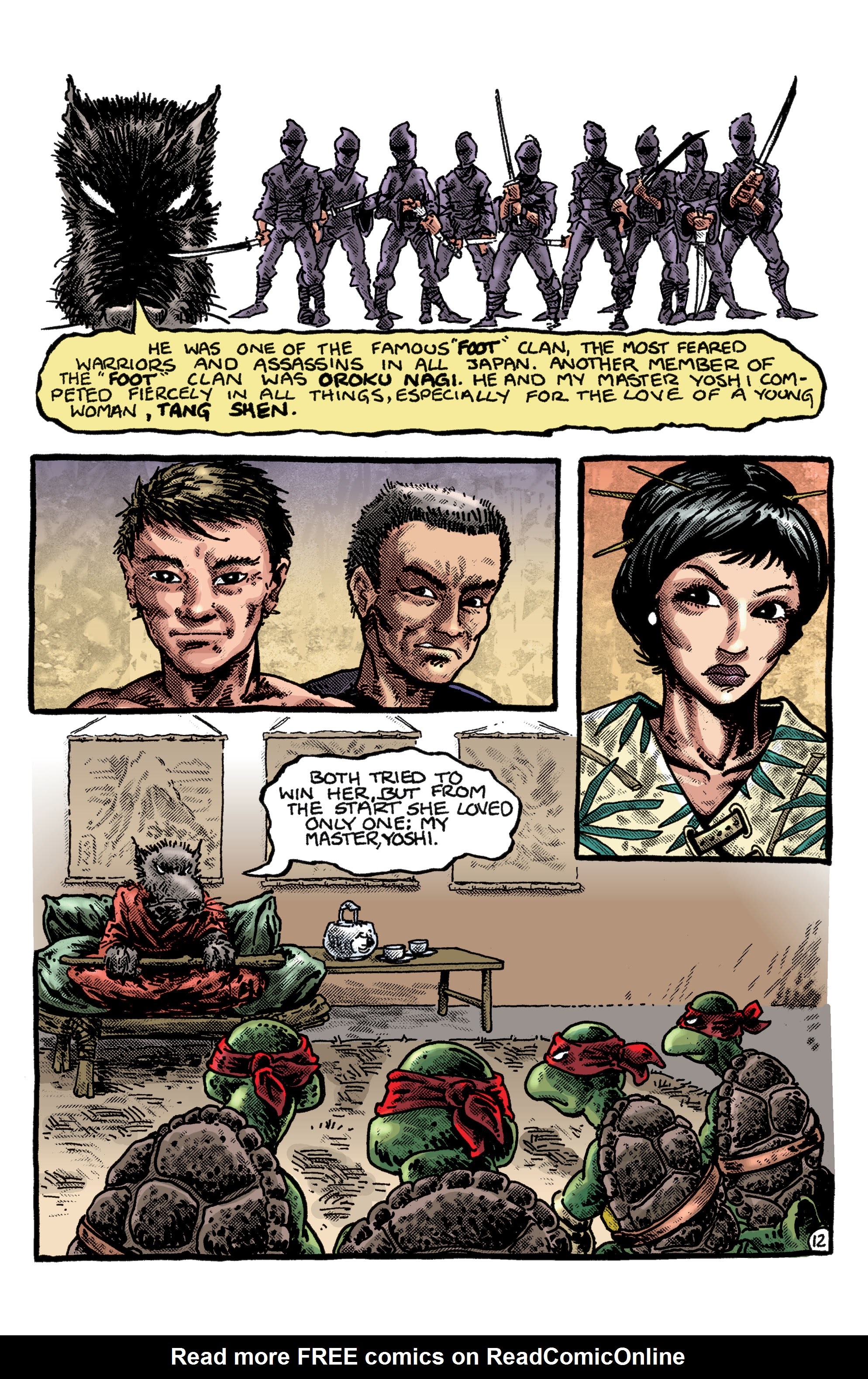 Read online Teenage Mutant Ninja Turtles: Best Of comic -  Issue # Best of Shredder - 13