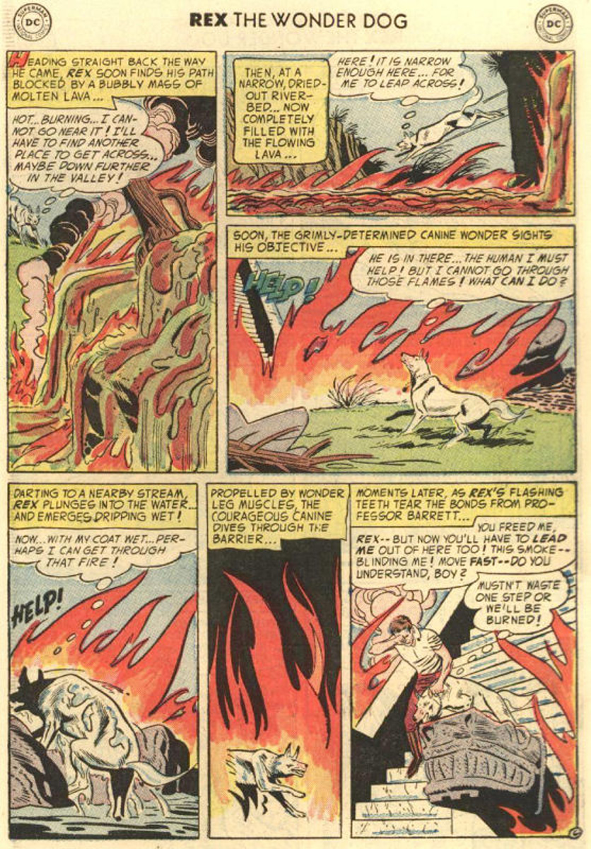 Read online The Adventures of Rex the Wonder Dog comic -  Issue #14 - 31