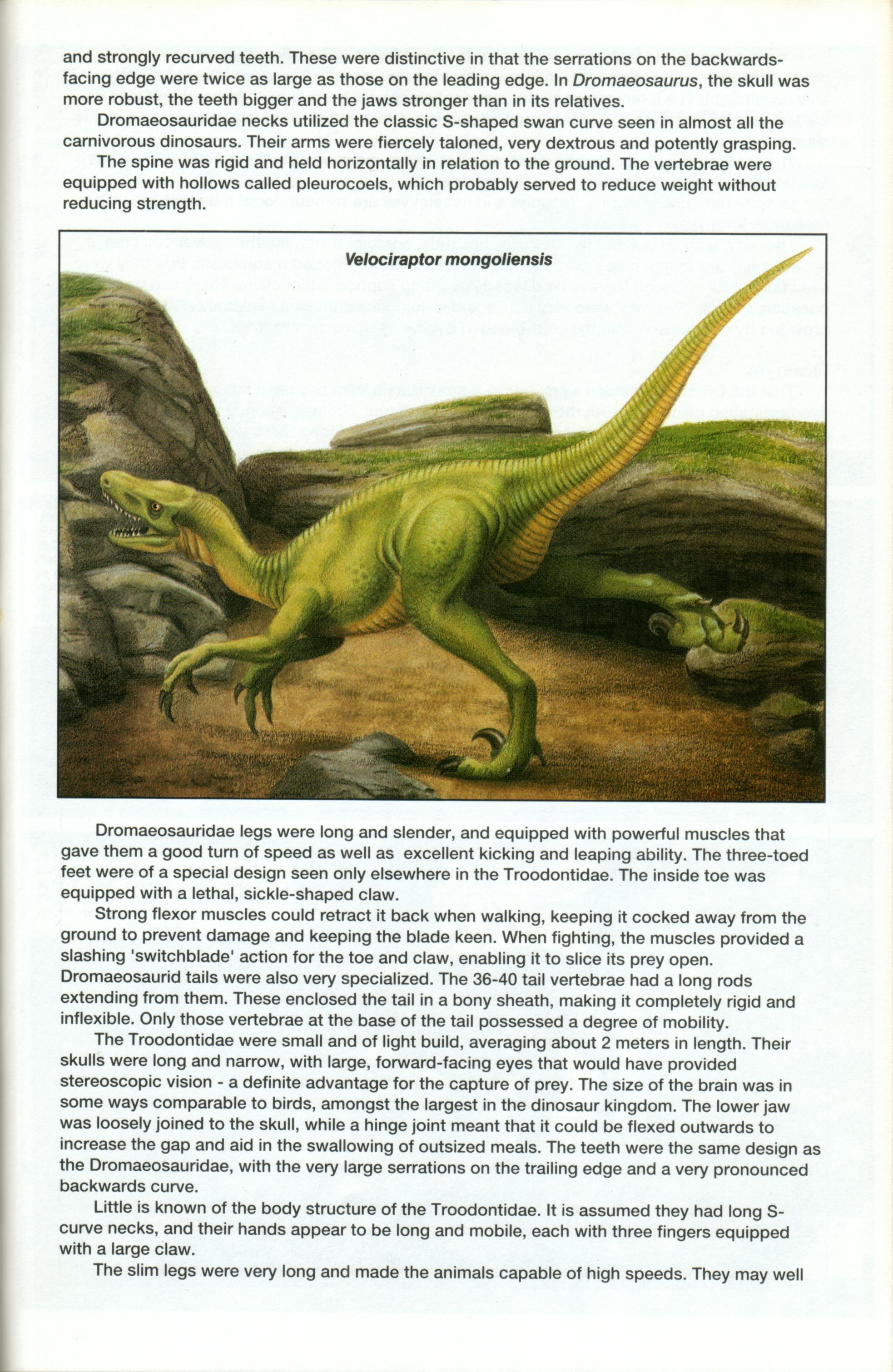 Read online Dinosaurs, A Celebration comic -  Issue #1 - 32