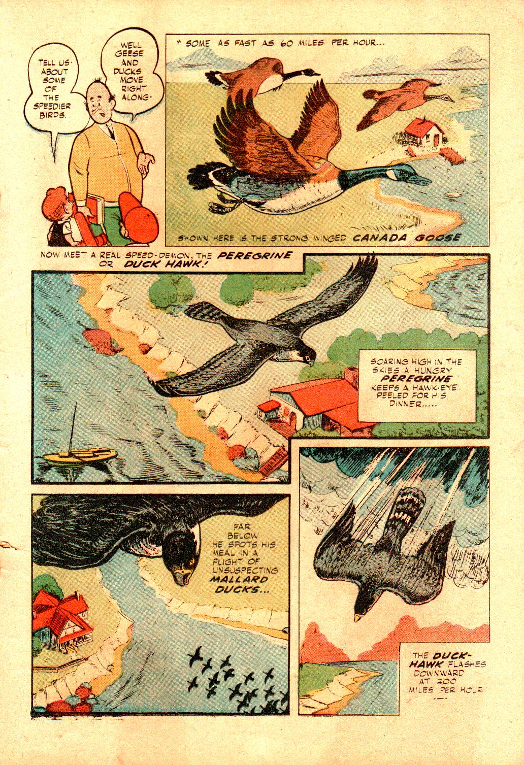 Read online Little Archie In Animal Land comic -  Issue #18 - 19